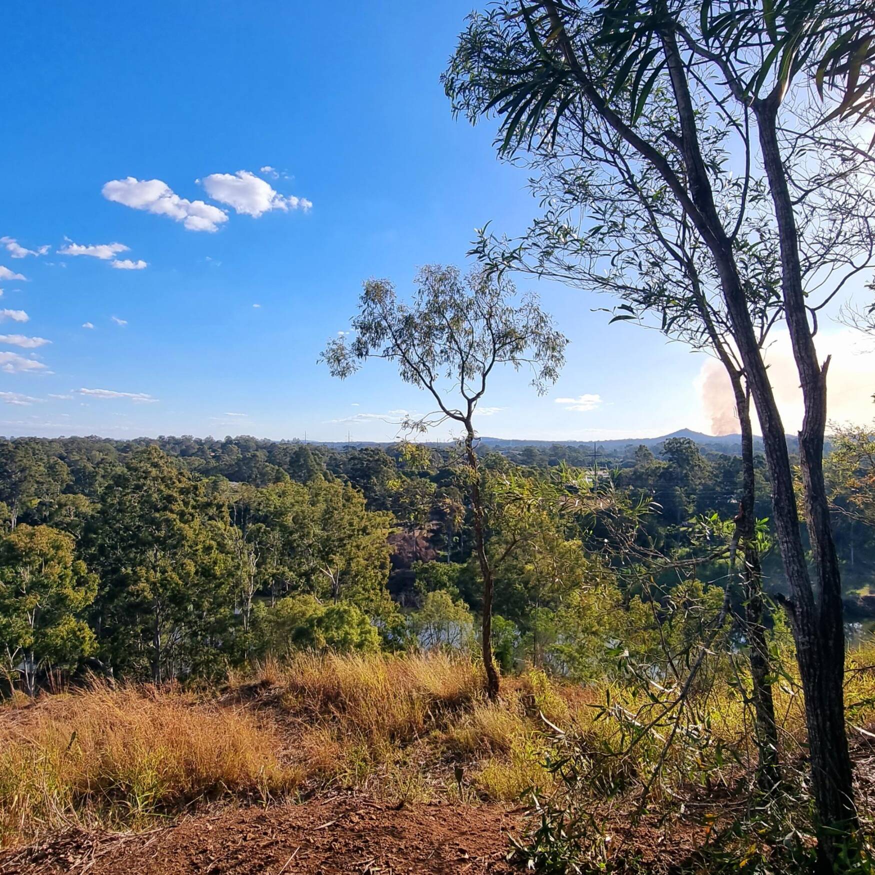 Anstead Bushland