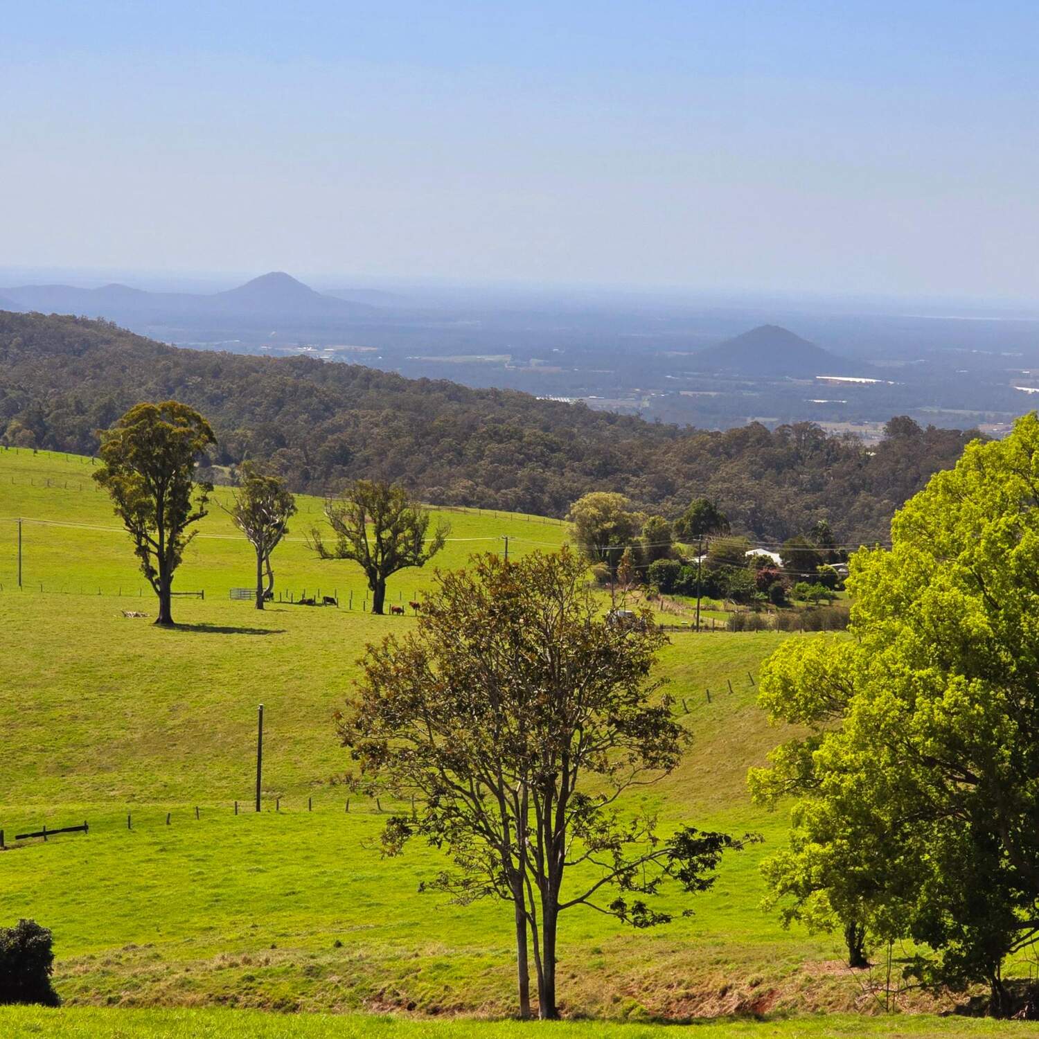 Moreton Bay Farm Trail
