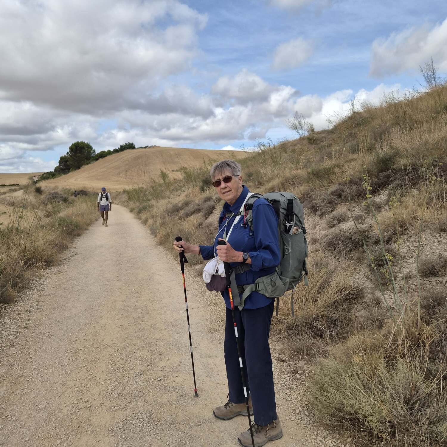 Camino Frances from Pamplona to Santiago