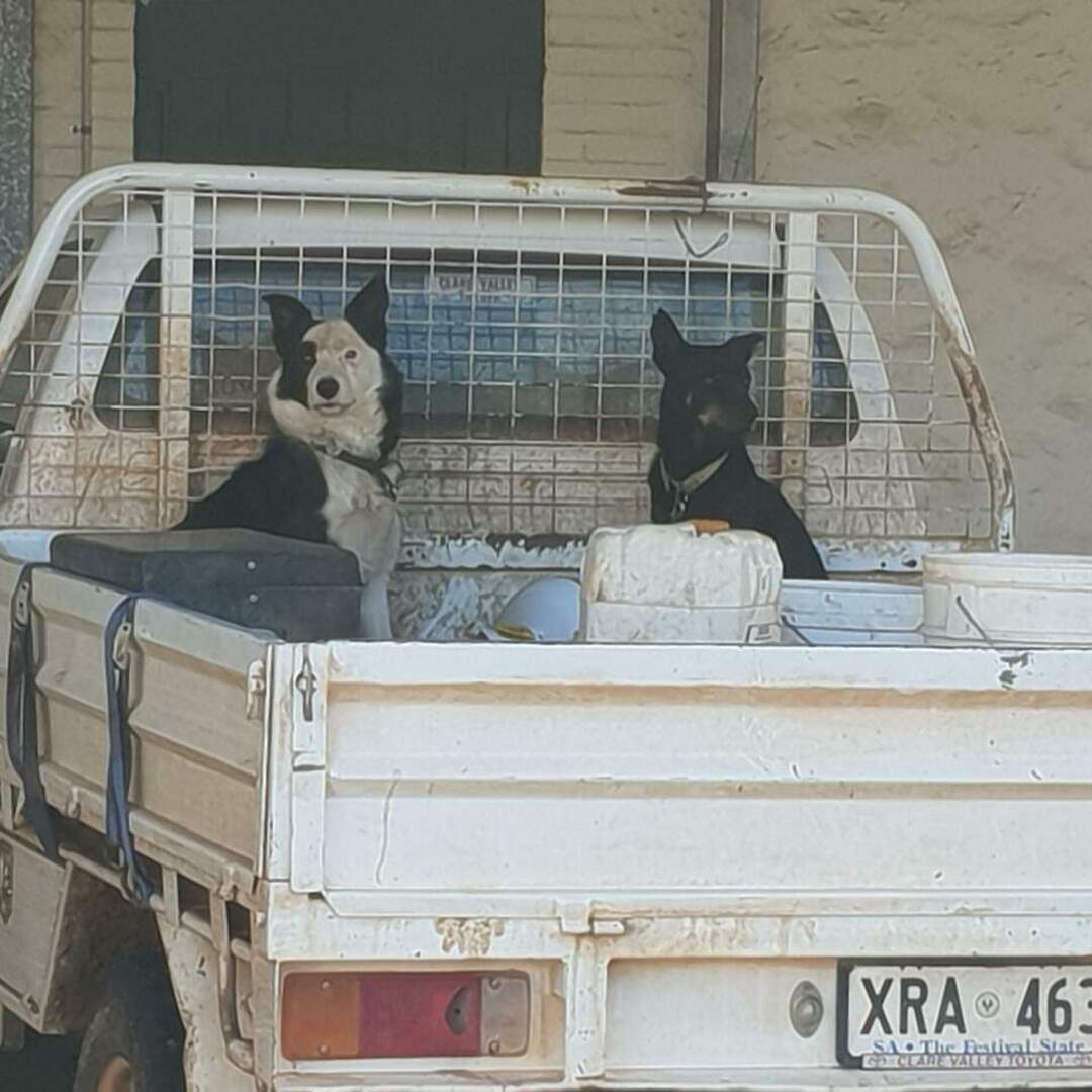 Road trip to Darwin