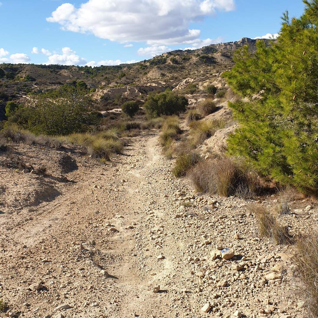 Ruta de la Lana