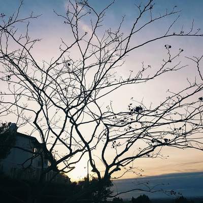 United States of America