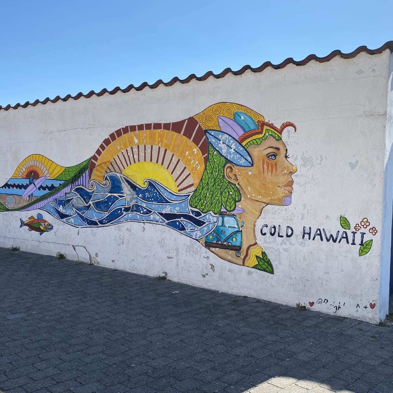 Cold Hawaii