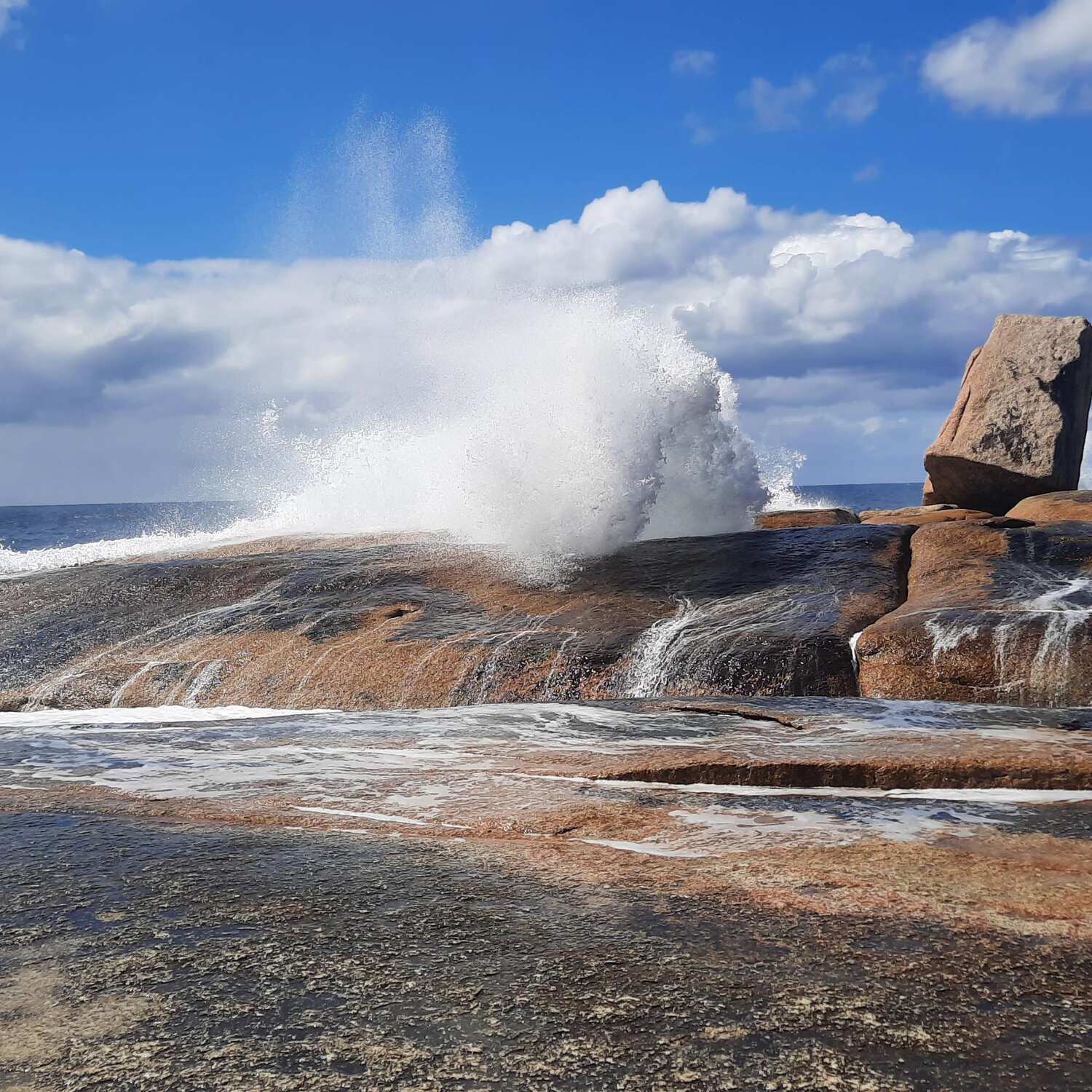 Summer in Tasmania