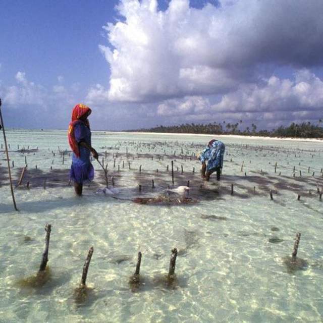 Zanzibar