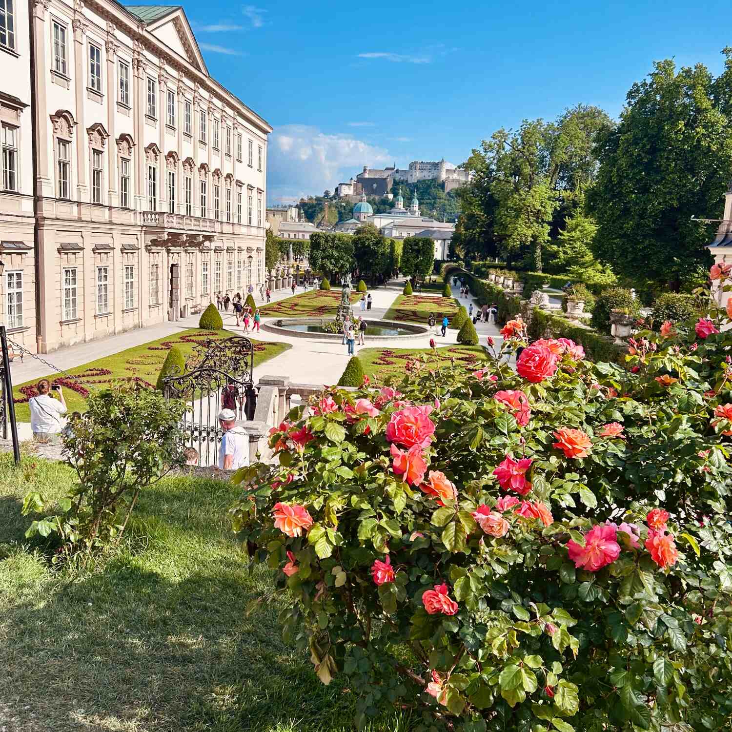 Österreich 🇦🇹 2026