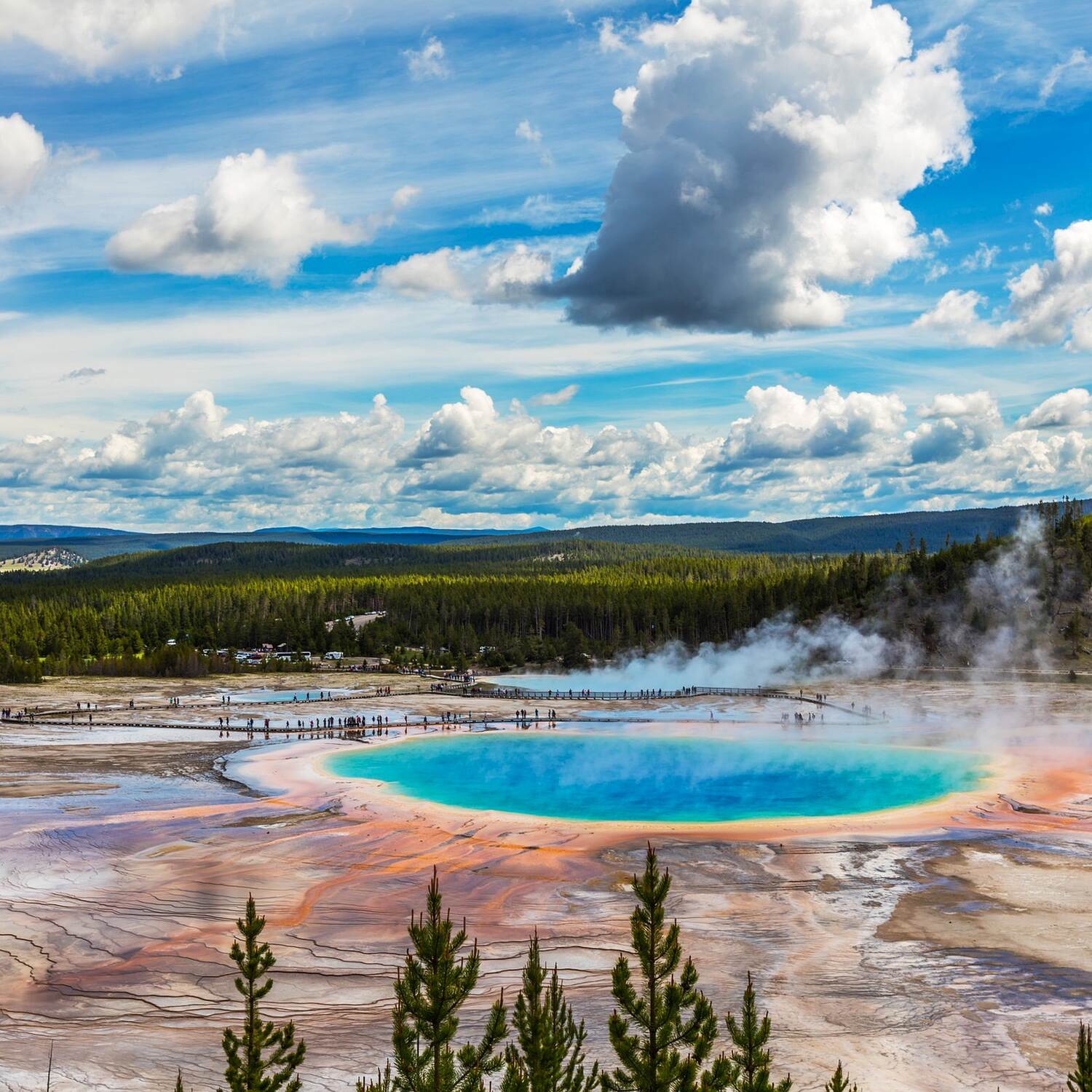 Yellowstone & Yosemite 2025