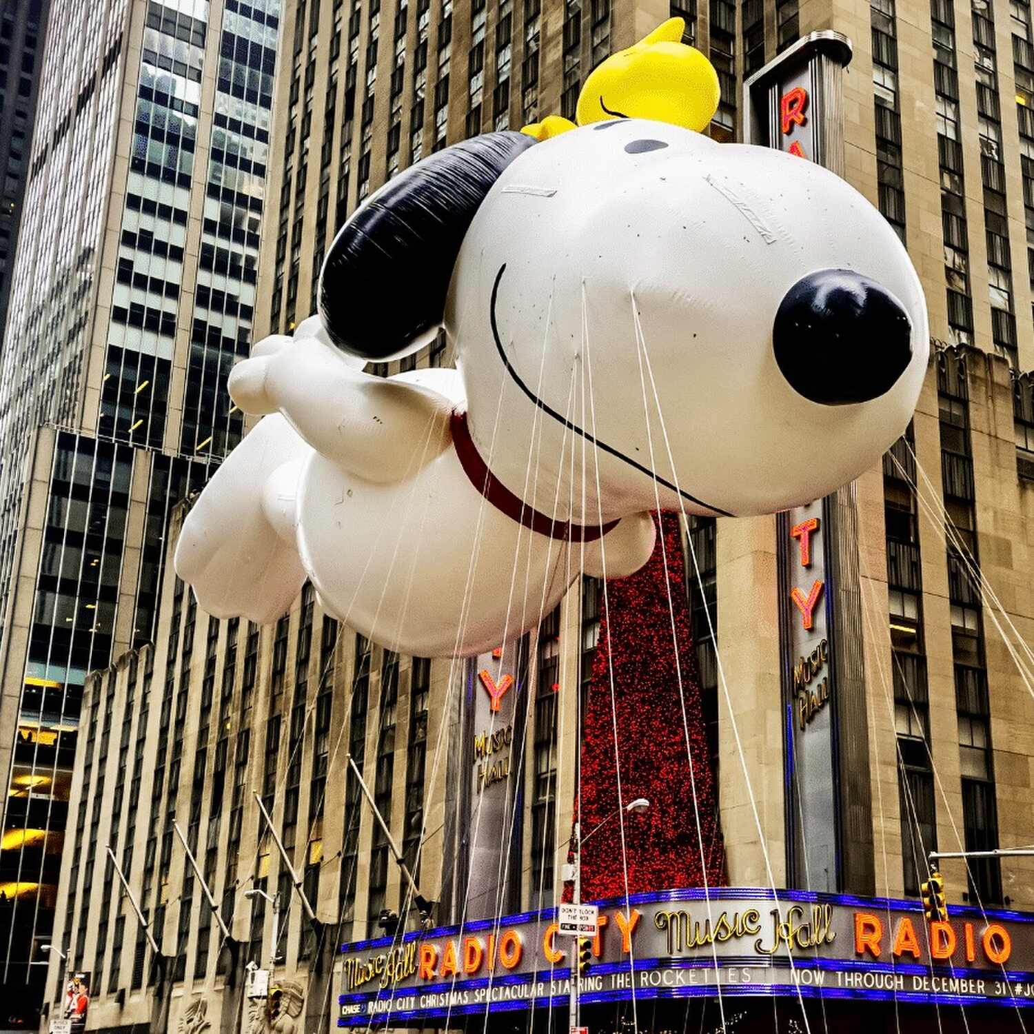 New York Thanksgiving 2025