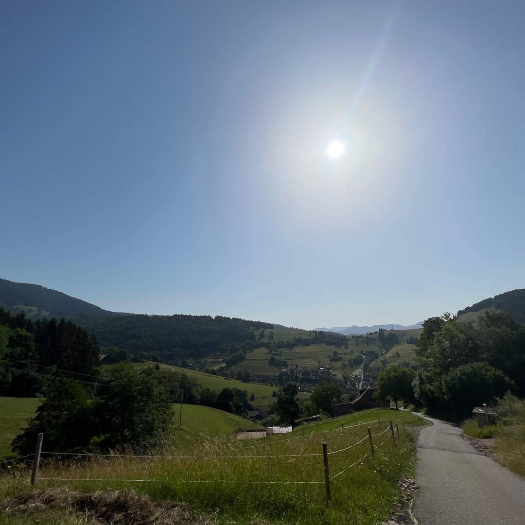 Schwarzwald