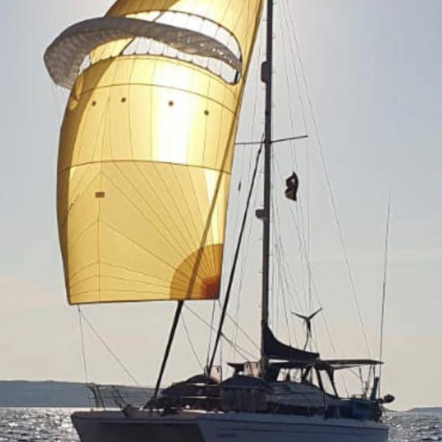 Sailing_Sunshinelive