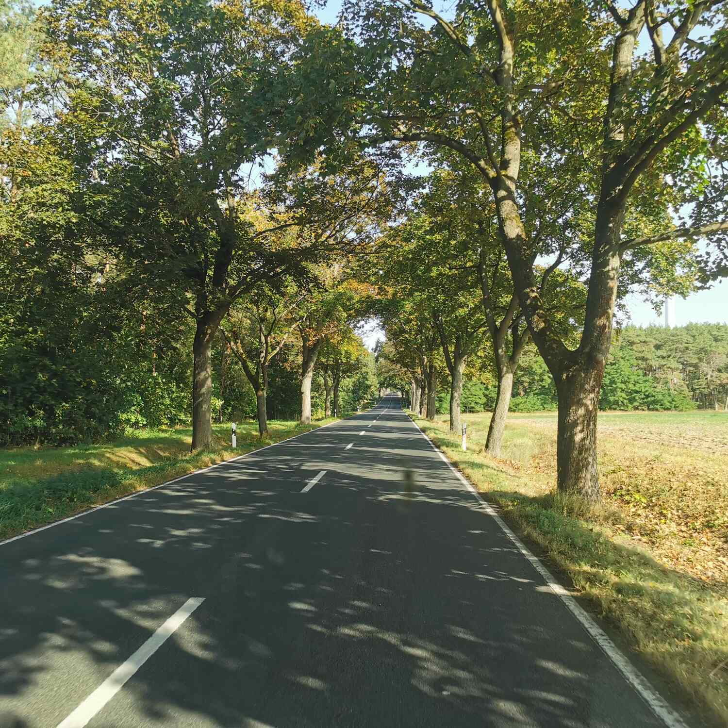 Goldener Herbst 23