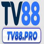 TV 88