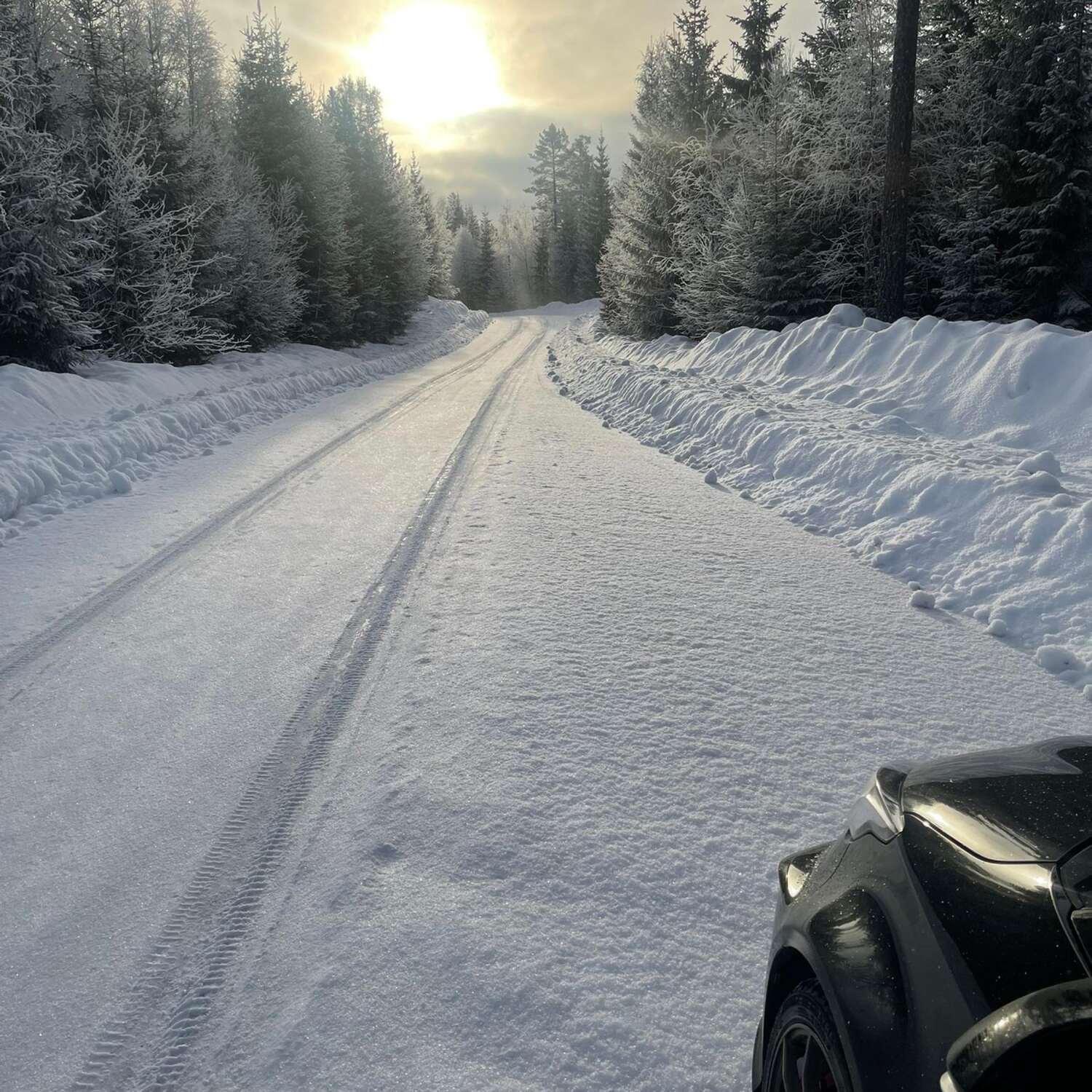 Scandic Run Winter 2k25