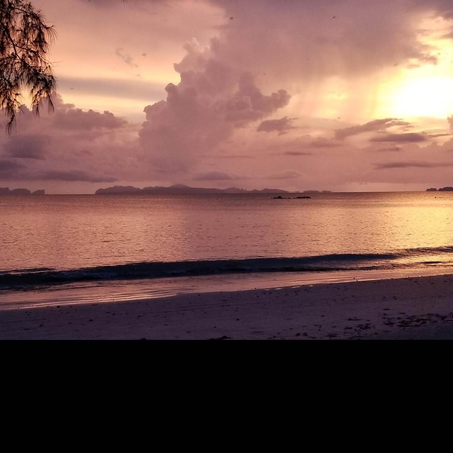 Thai Vietnam