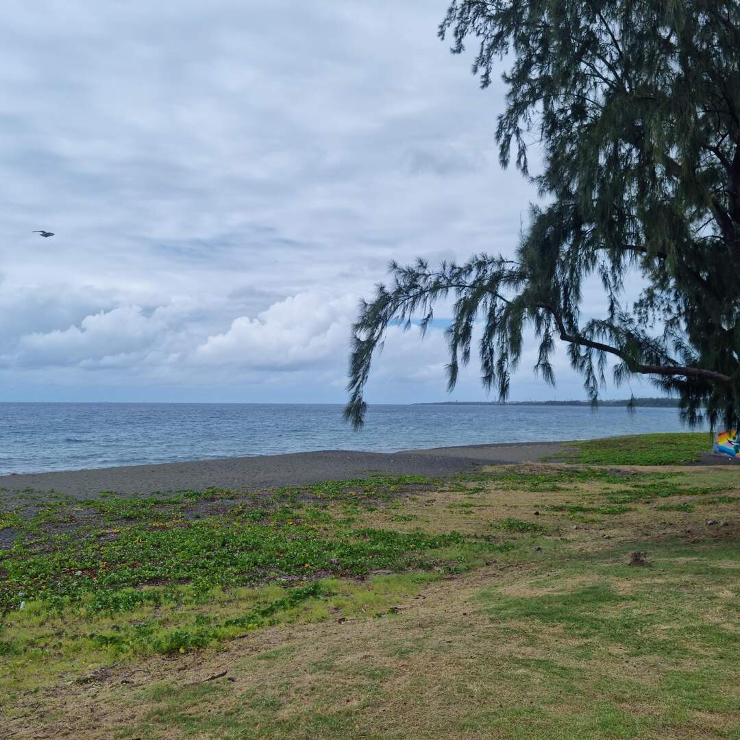 Réunion 2k21