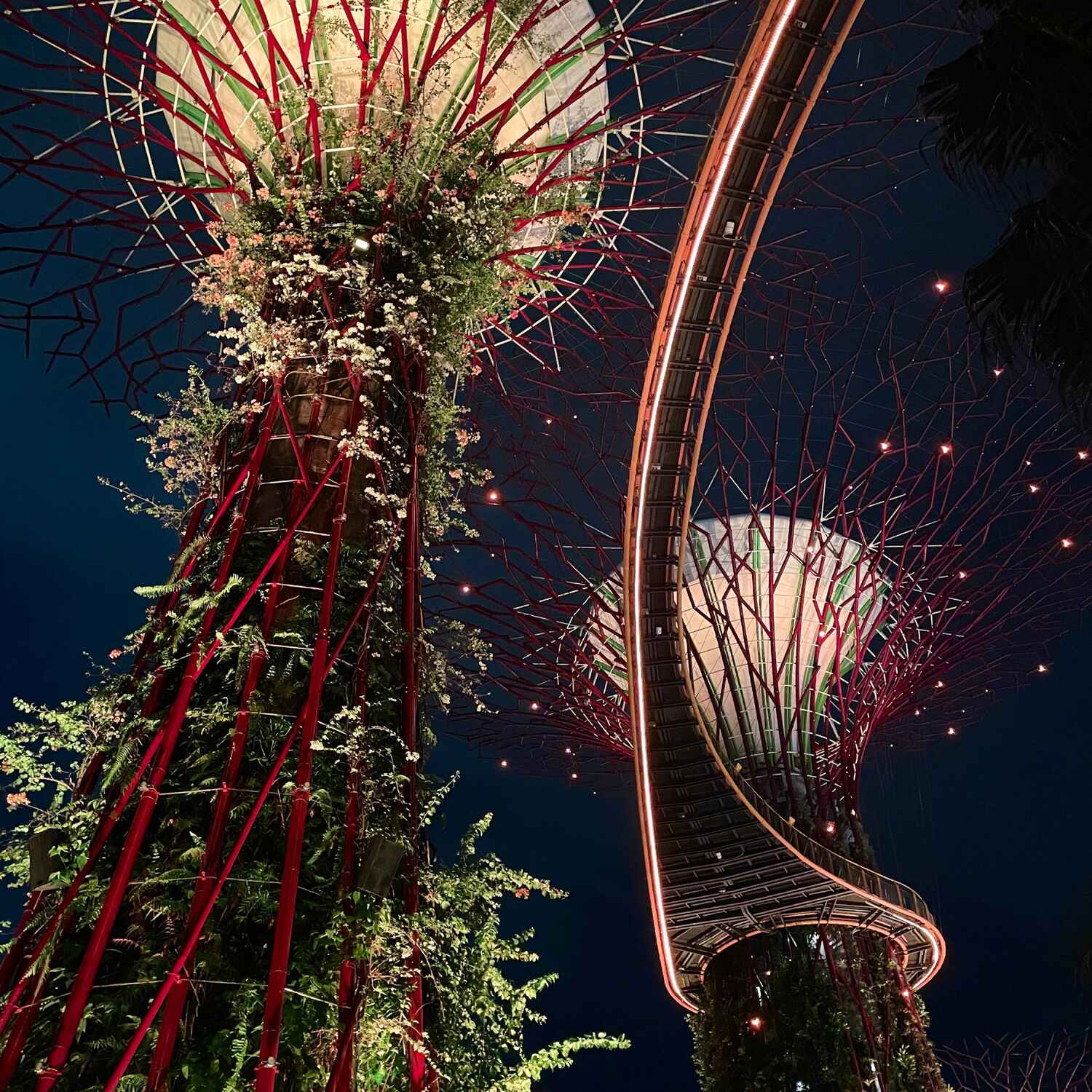 🇸🇬 - Singapur 2023 MDT