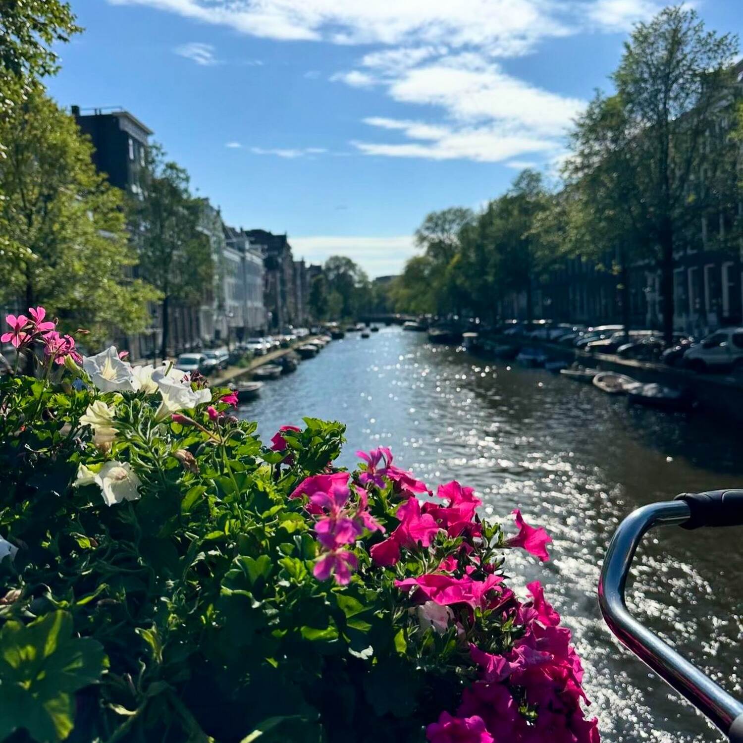 🇳🇱 - Amsterdam 2024 MDT