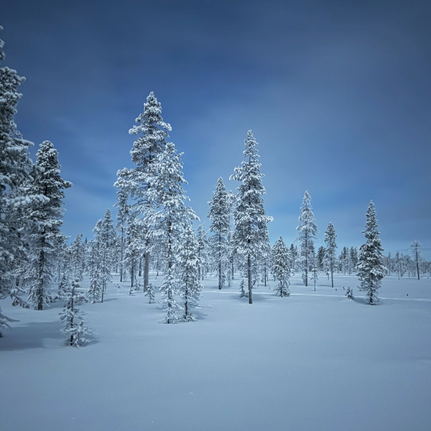 2026.1 Wintertauglichkeit