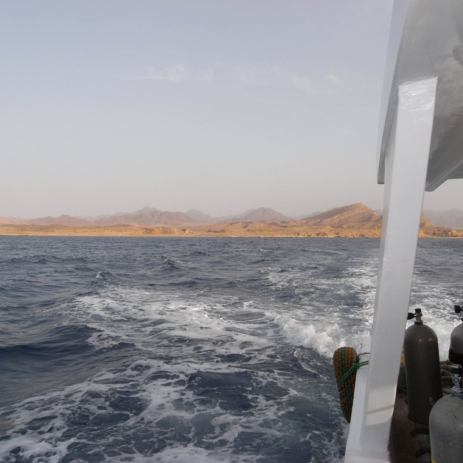 Tauchen im roten Meer 2010