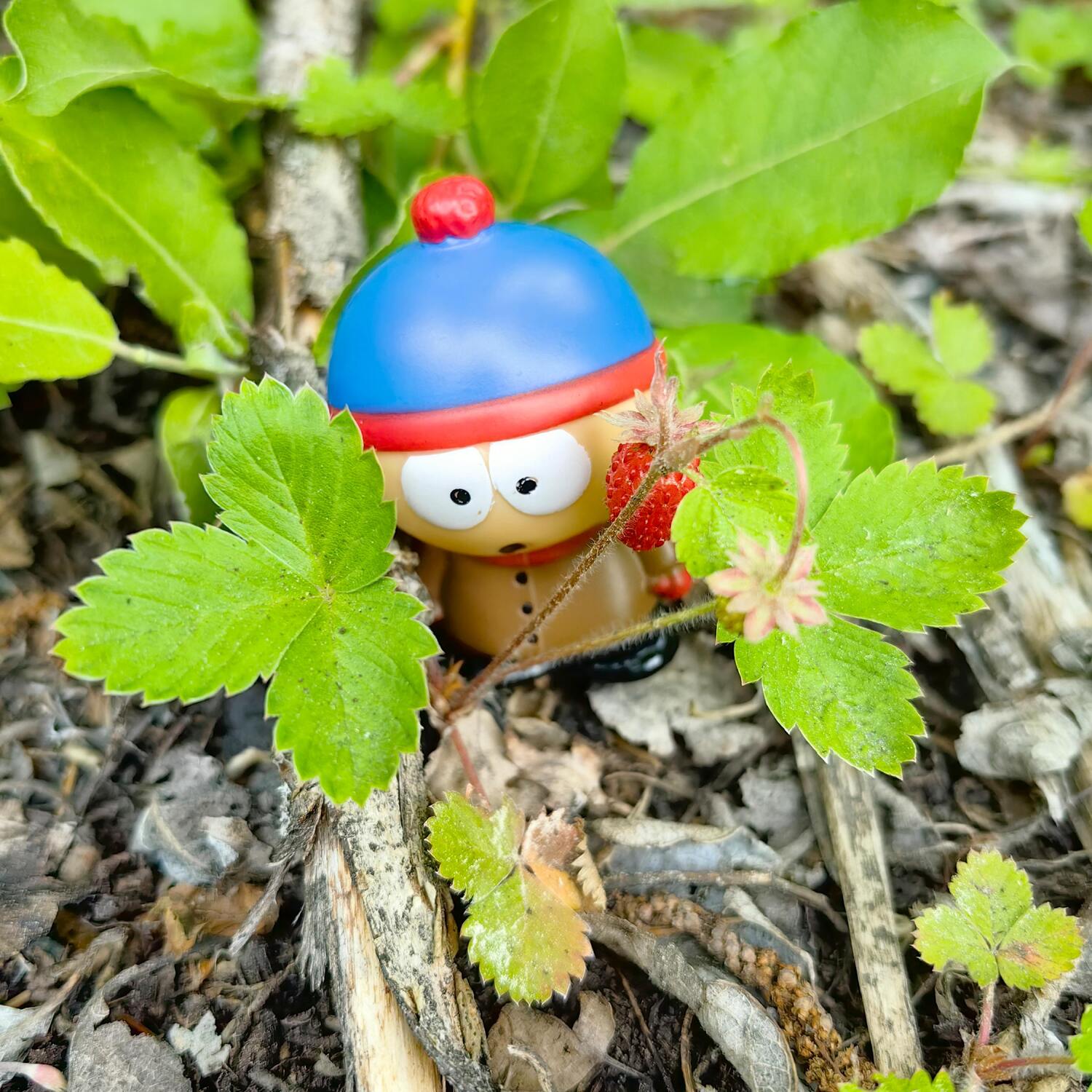 Ты мне тут не шалаши!