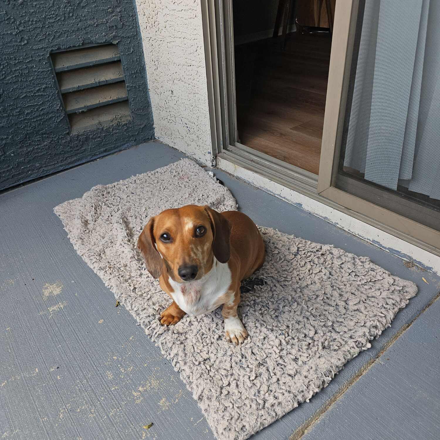 Lil Dude's 5th Birthday 🎂 🥳
