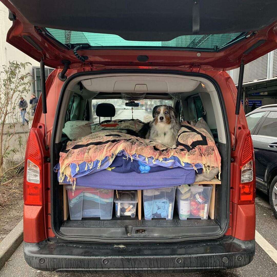Experiment Wintercamping