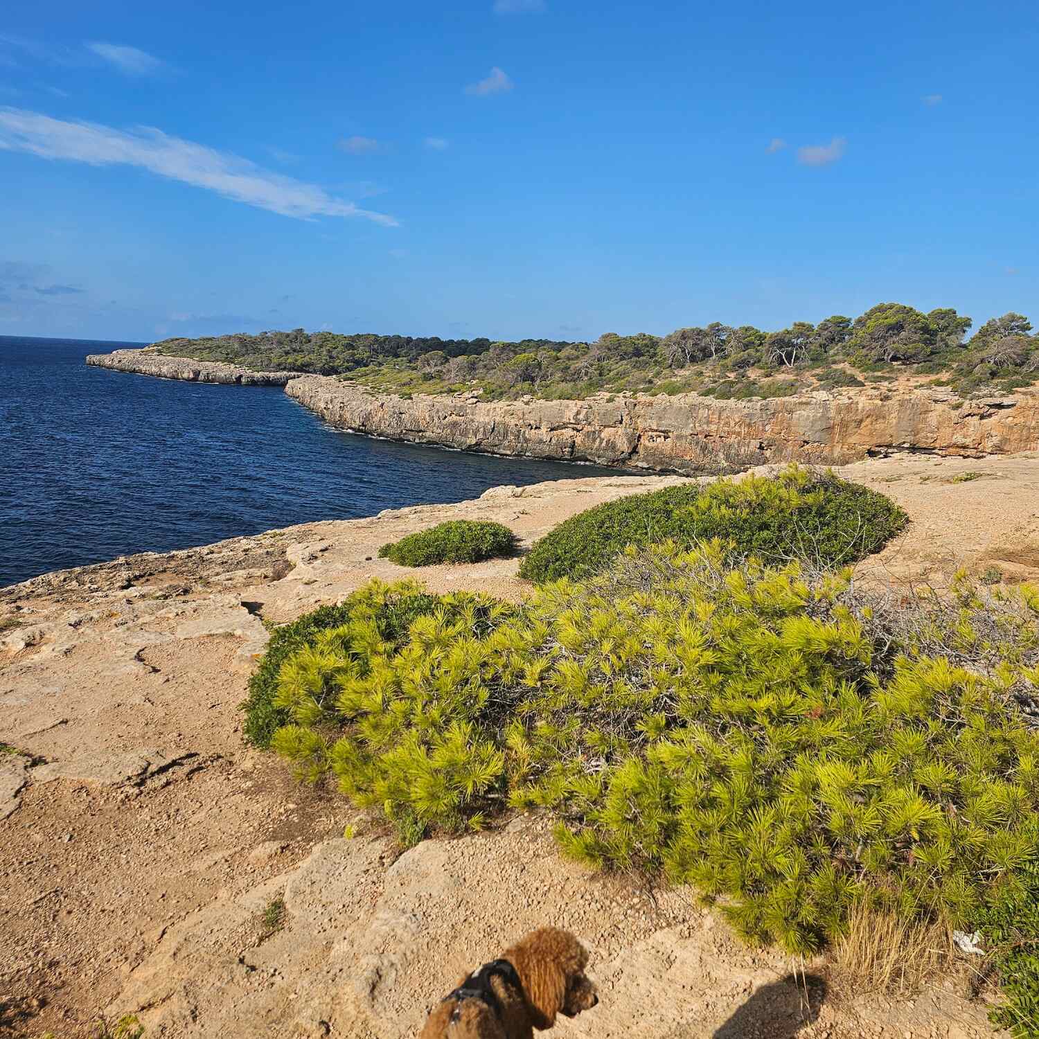 Mallorca