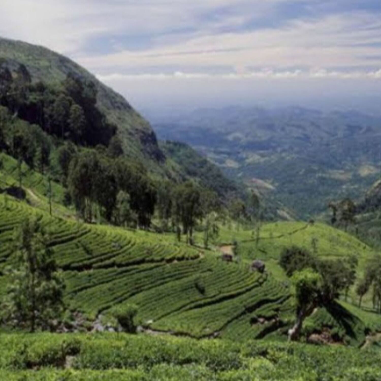 Next stop: Ayurveda-Journey