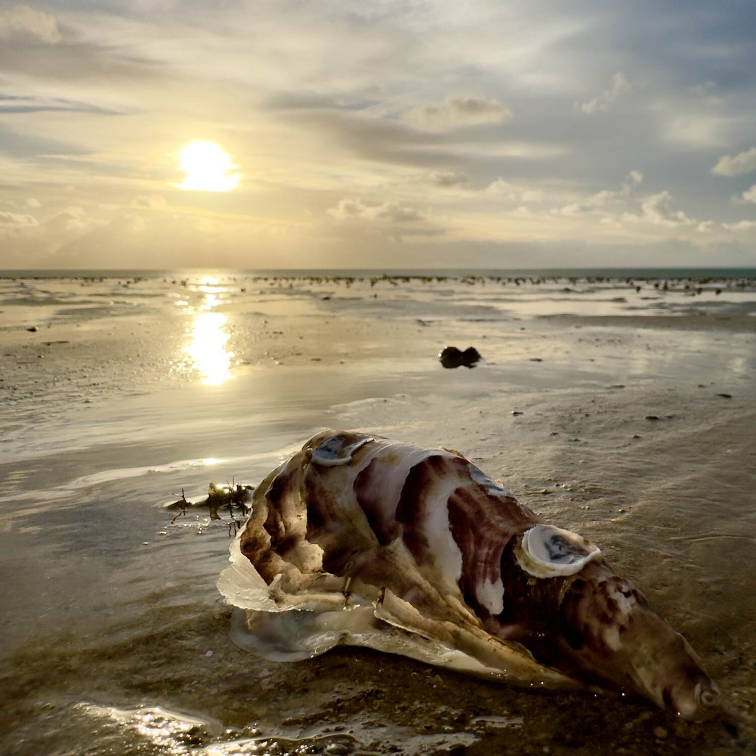 Normandie 2024