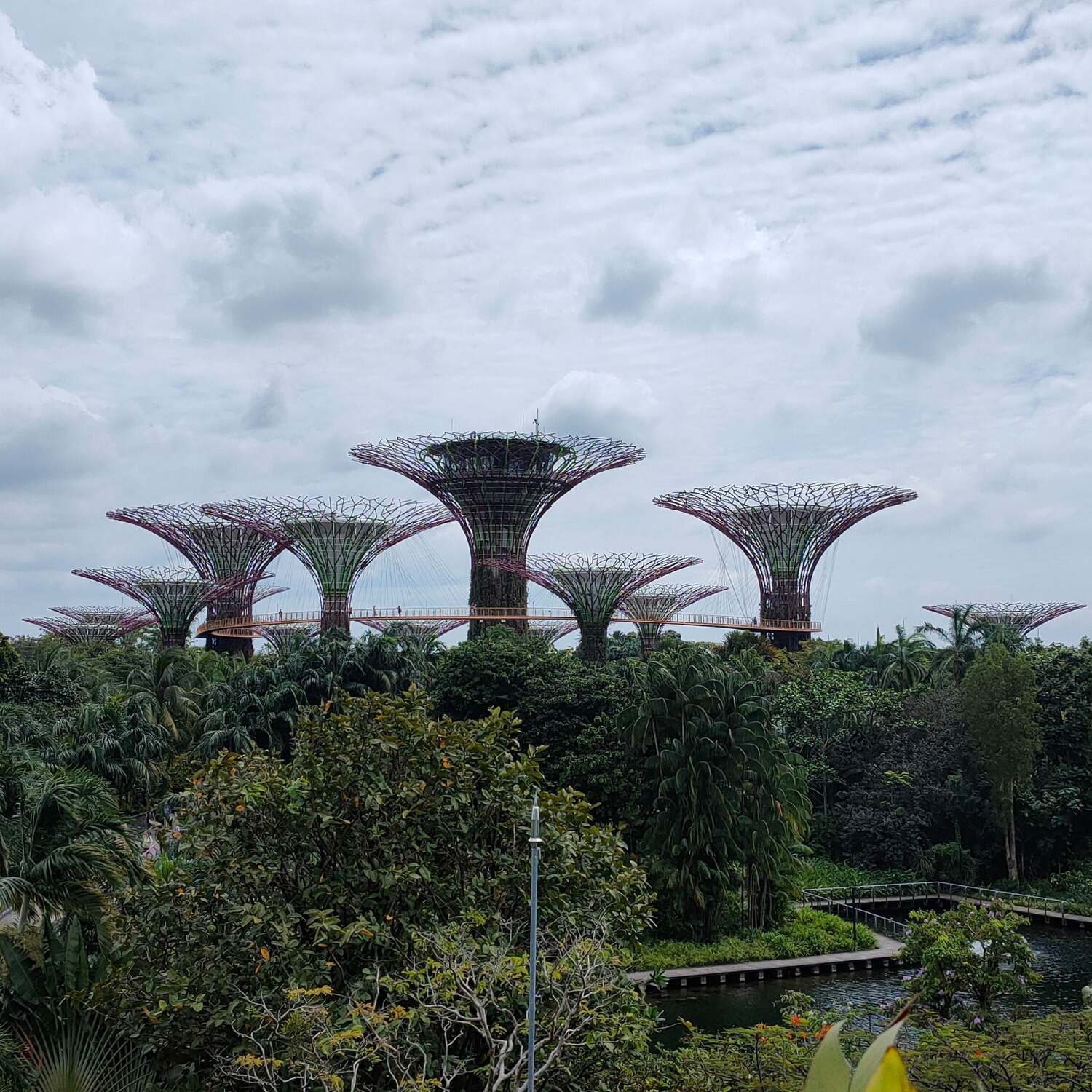 Abu Dhabi and Singapore