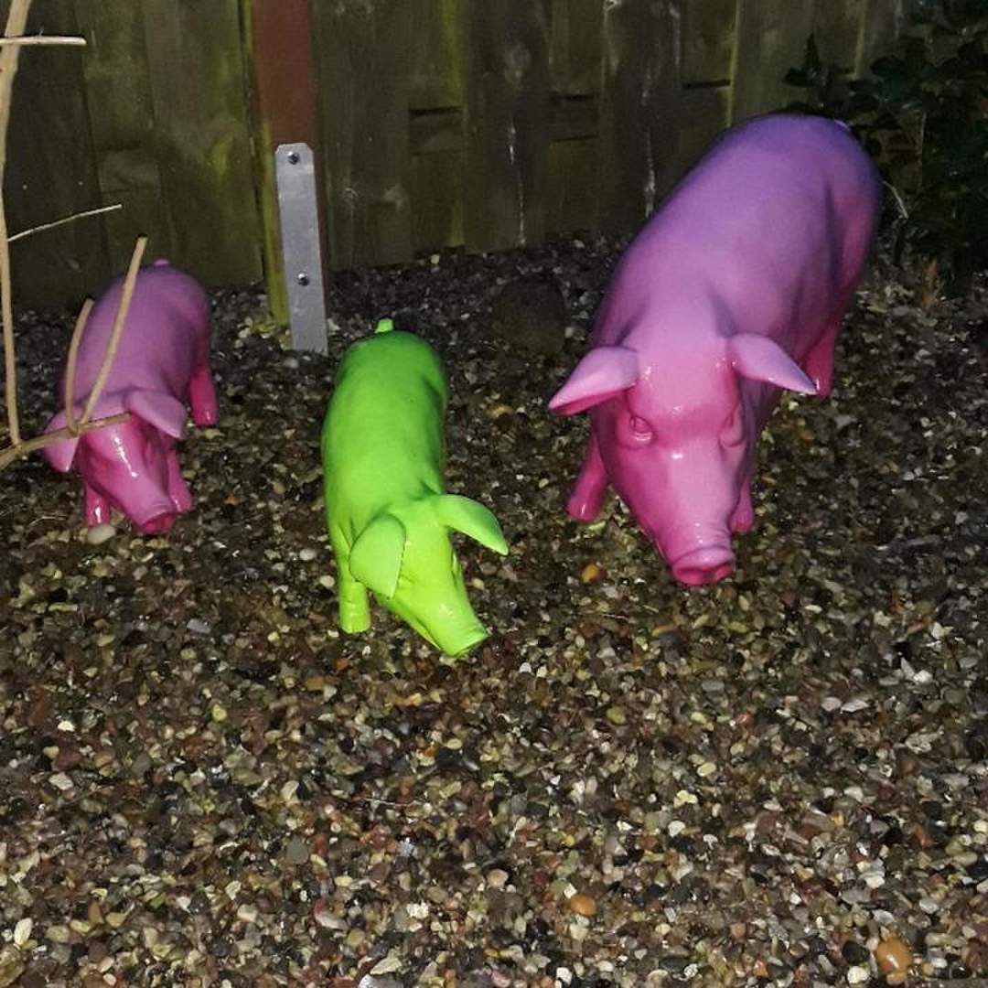 Blåvand Januar 2019