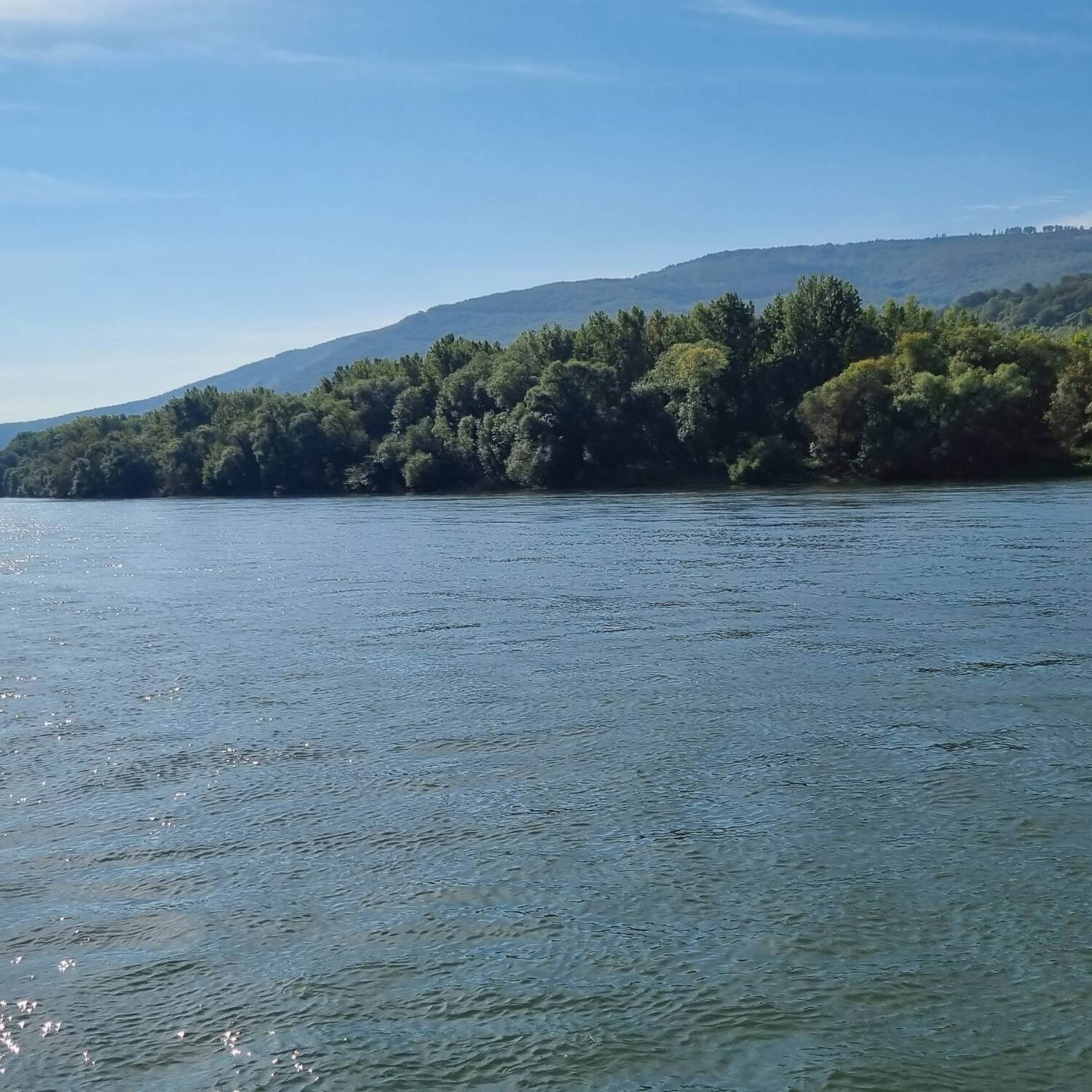 Rhein in Flammen in St. Goarsh