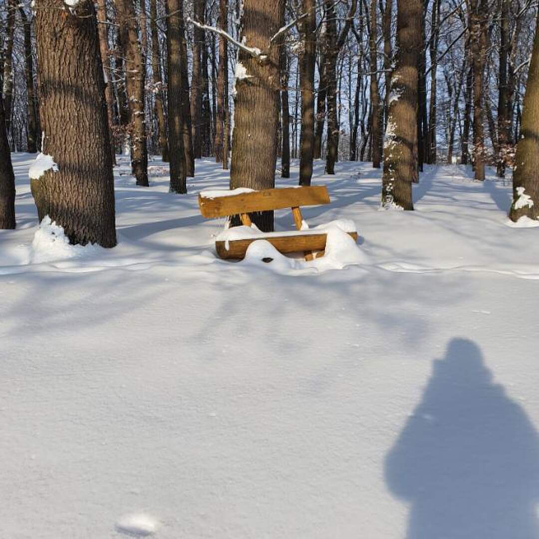Wintereinbruch 2021