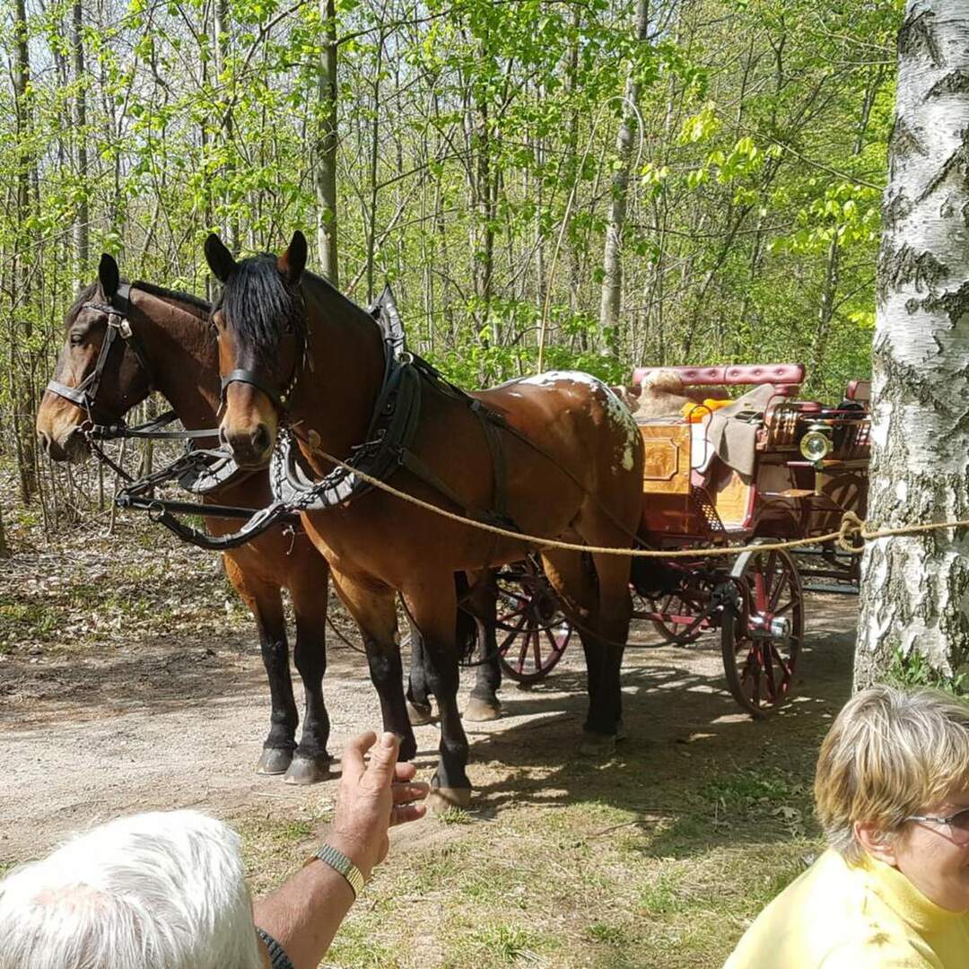 Kutschfahrt mit Oma und Opa