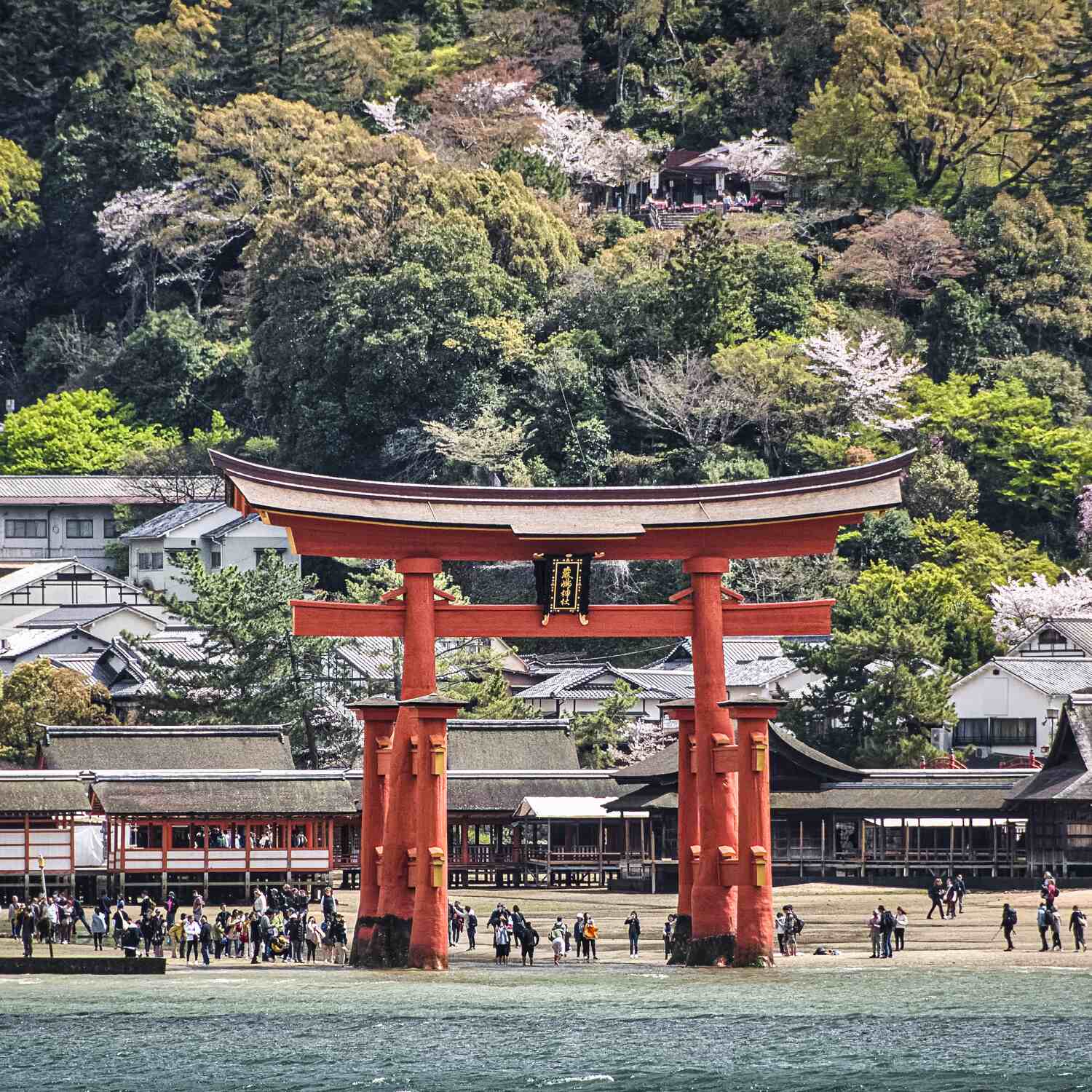 2024 - Japan