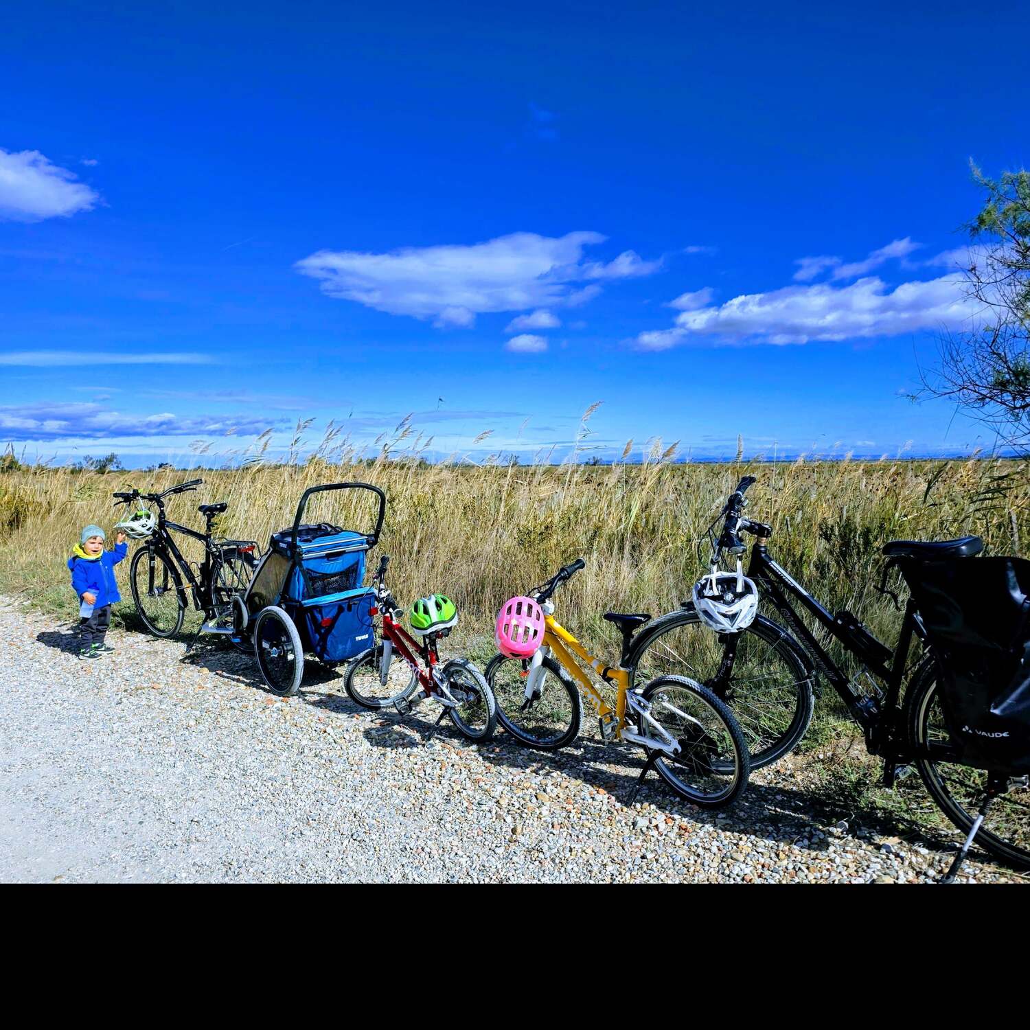 Camargue und Provence
