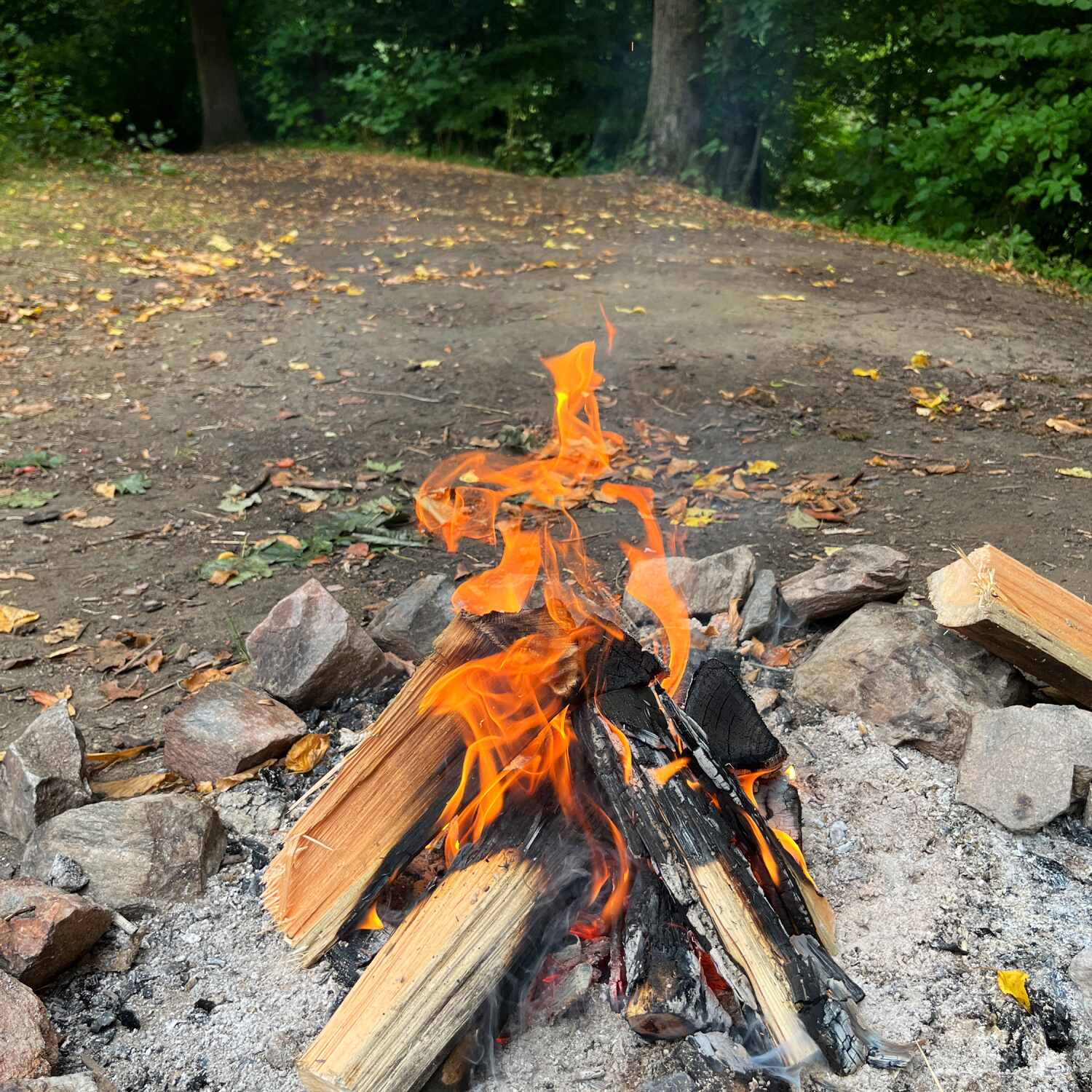 Вилазки на вихідні