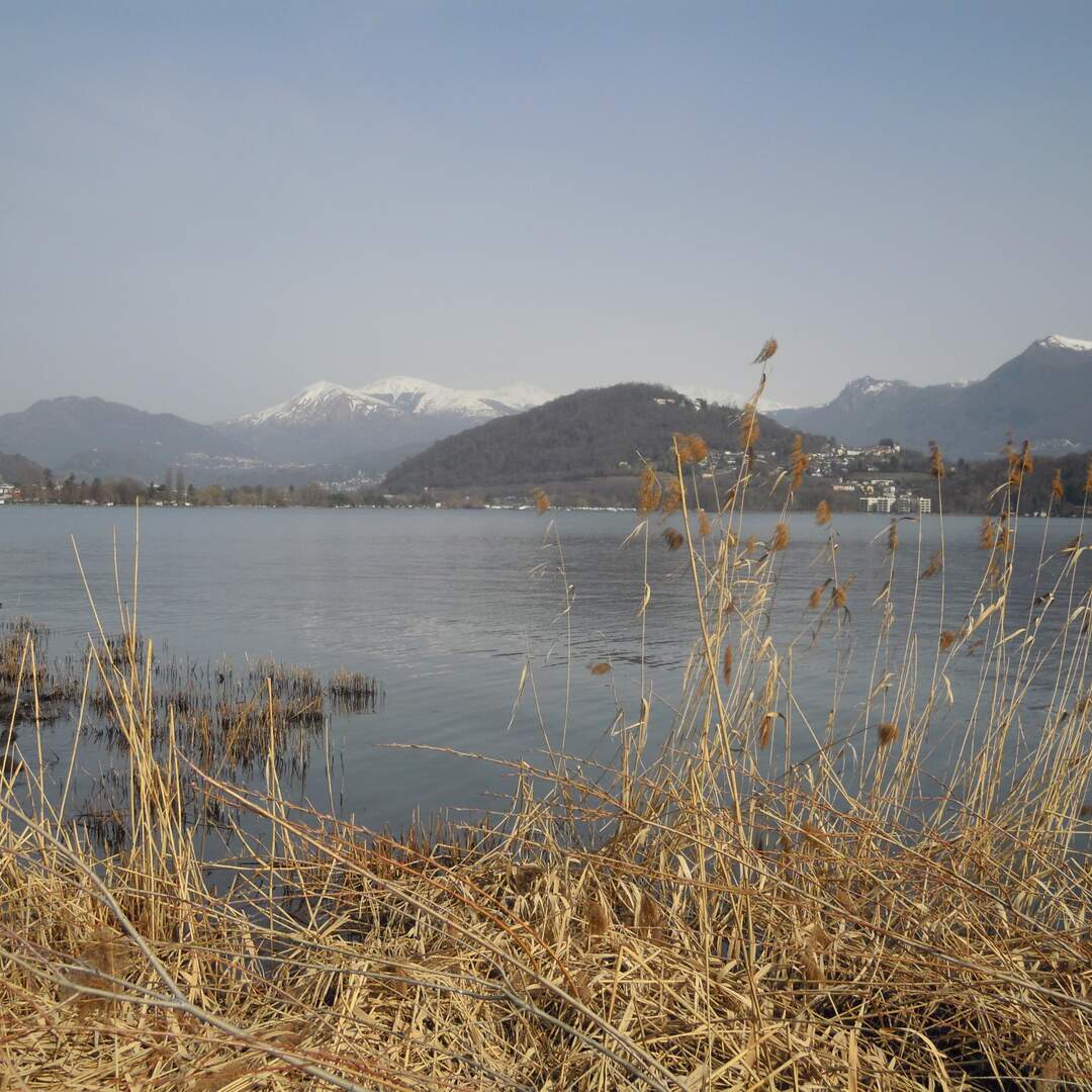 2021 Ticino