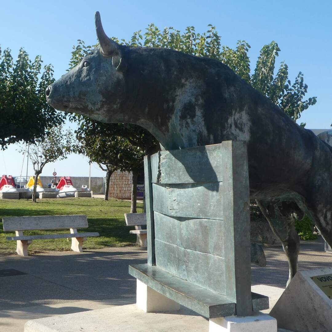 2021/10 Camargue