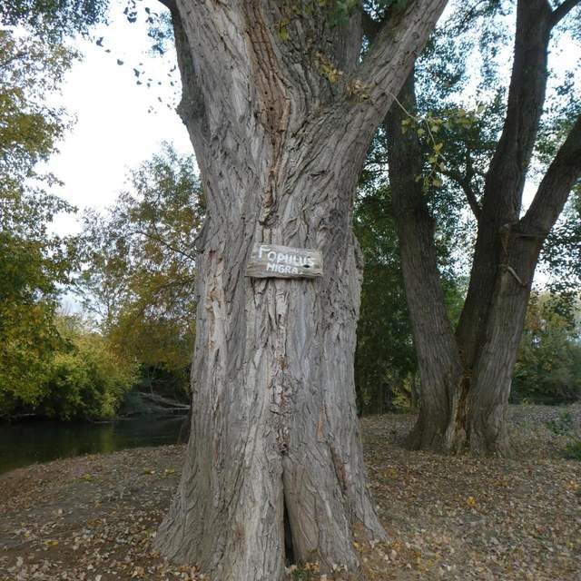 Vendée