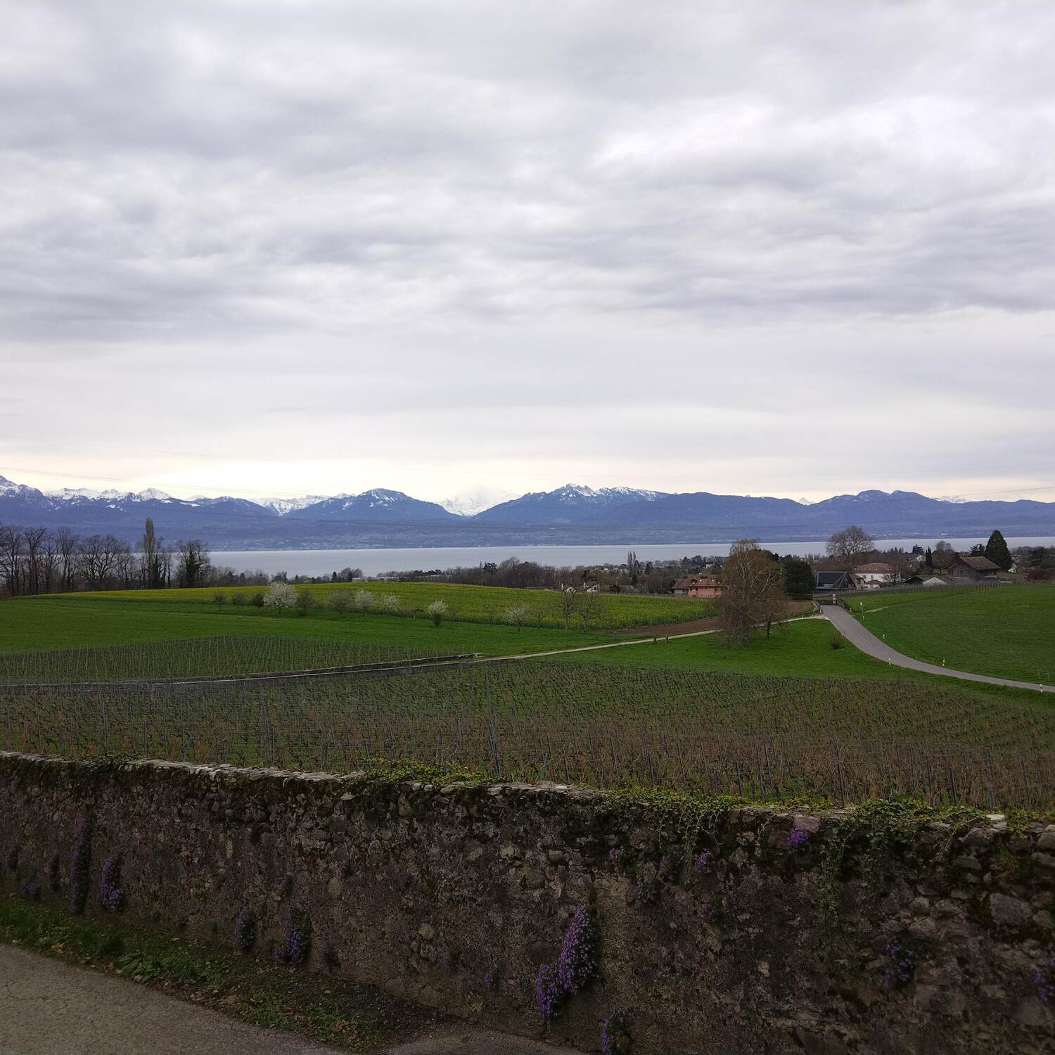 Hallo Schweiz