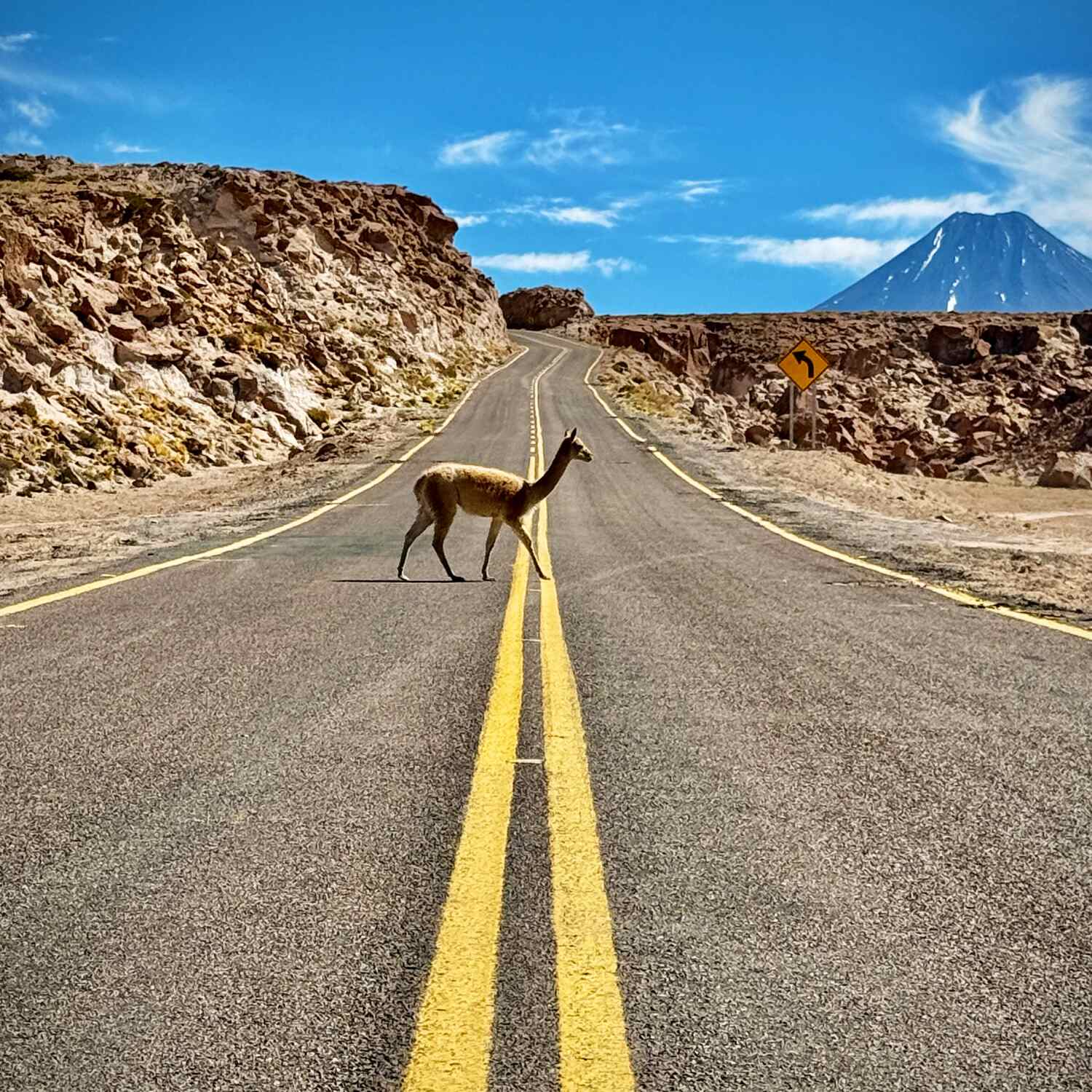 Chile 🇨🇱
