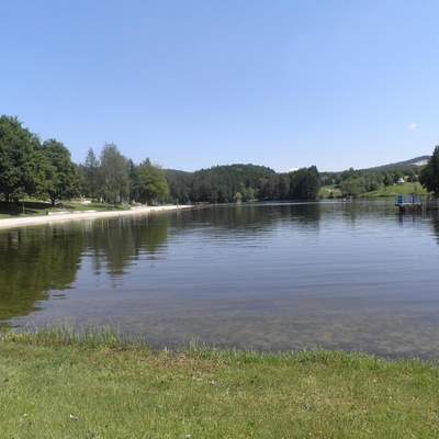 Bayerischer Wald