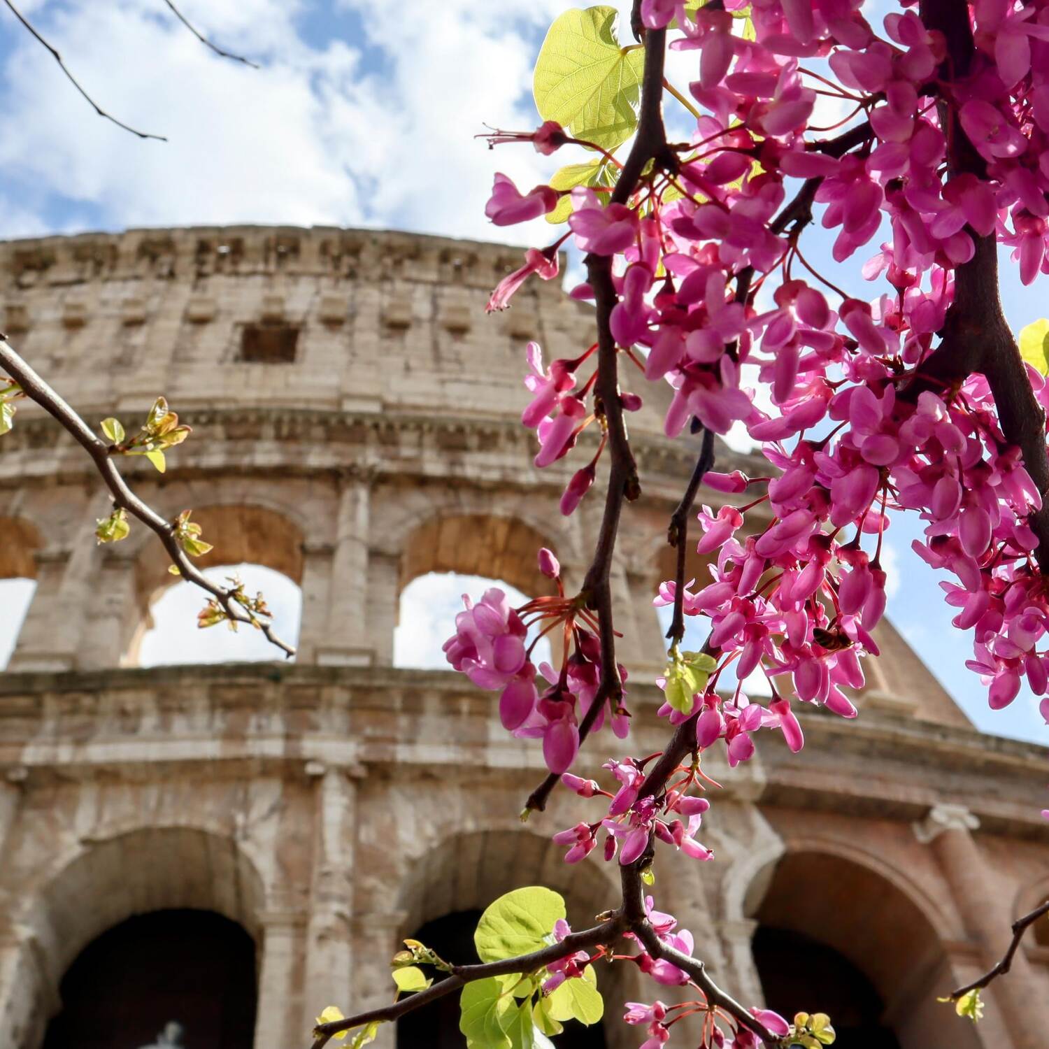 Road trip to Rome