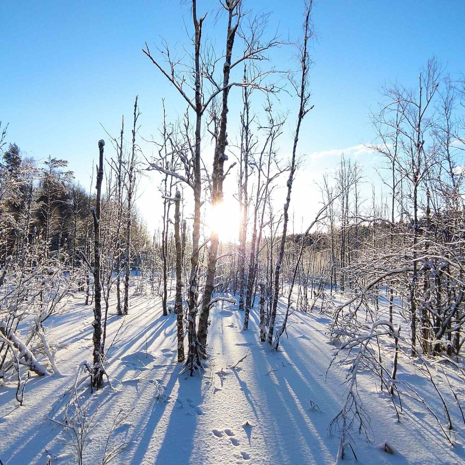 Salmi Recreation Area