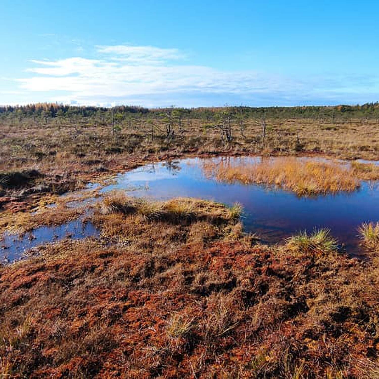Valkmusa National Park