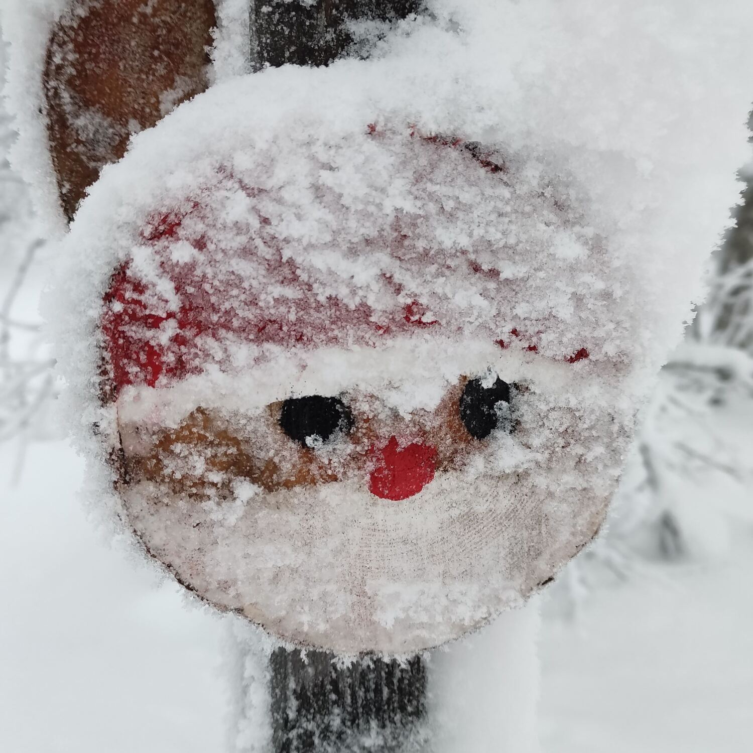 Ski tour to Korvatunturi