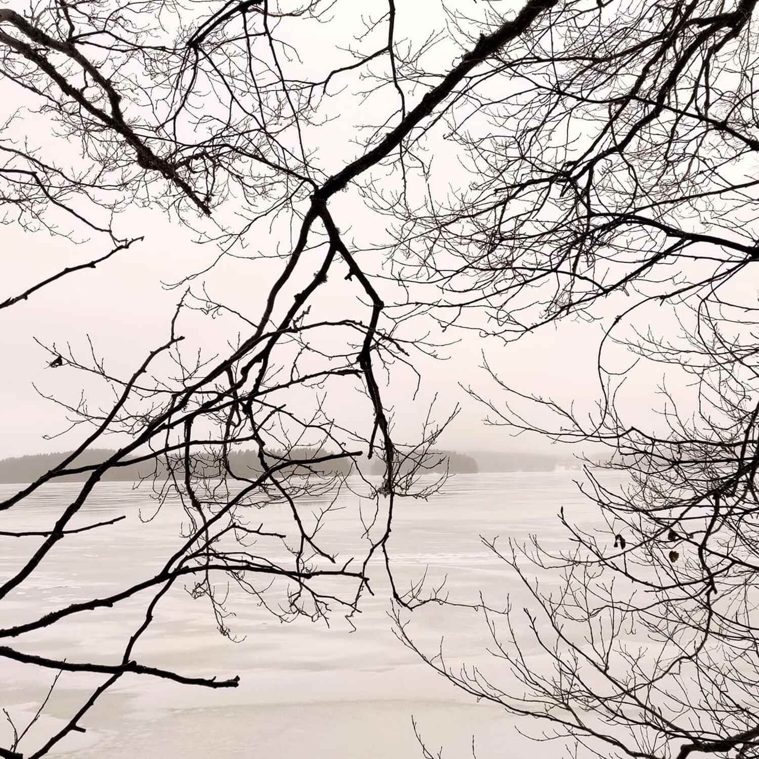 Karkali Strict Nature Reserve