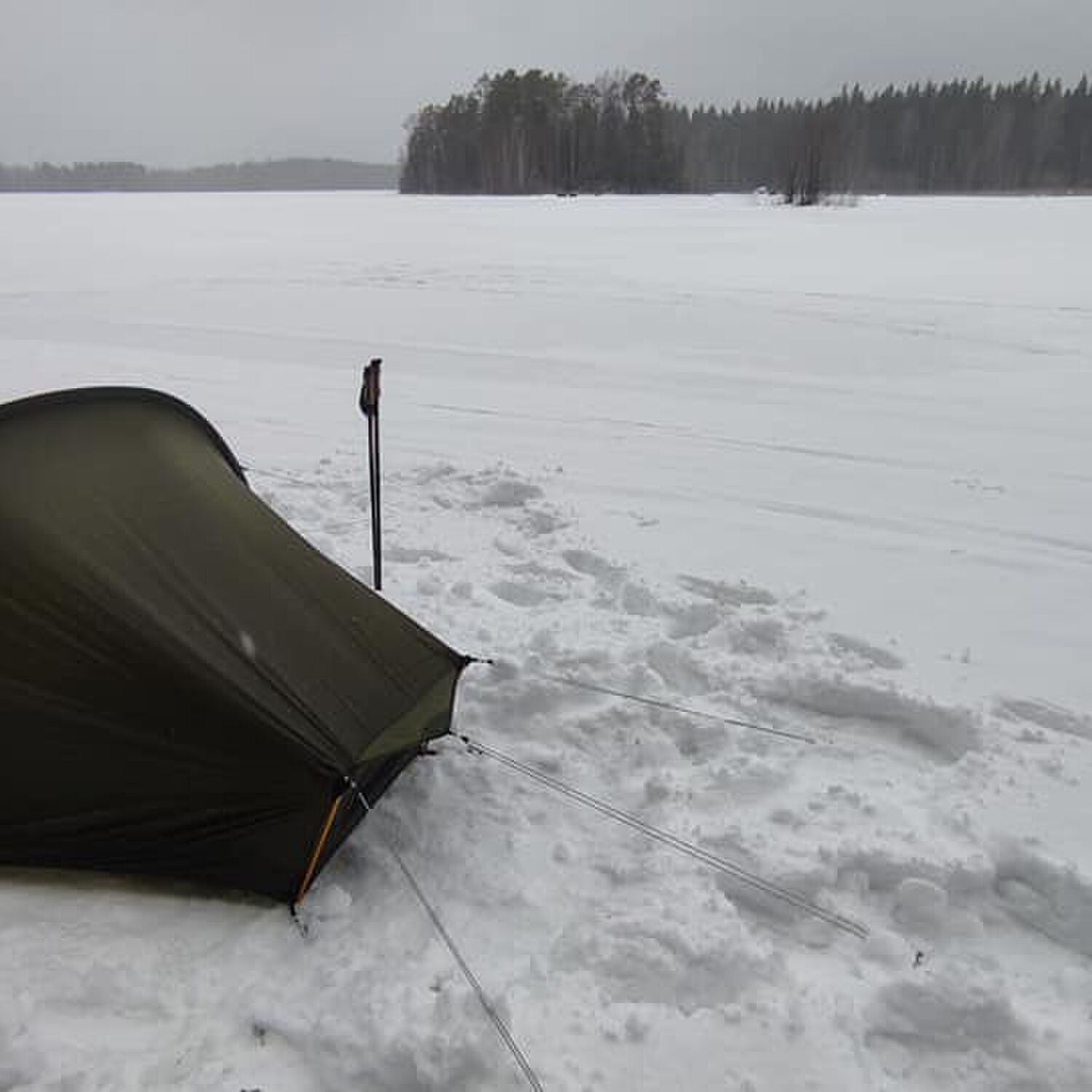 Liesjärvi National Park