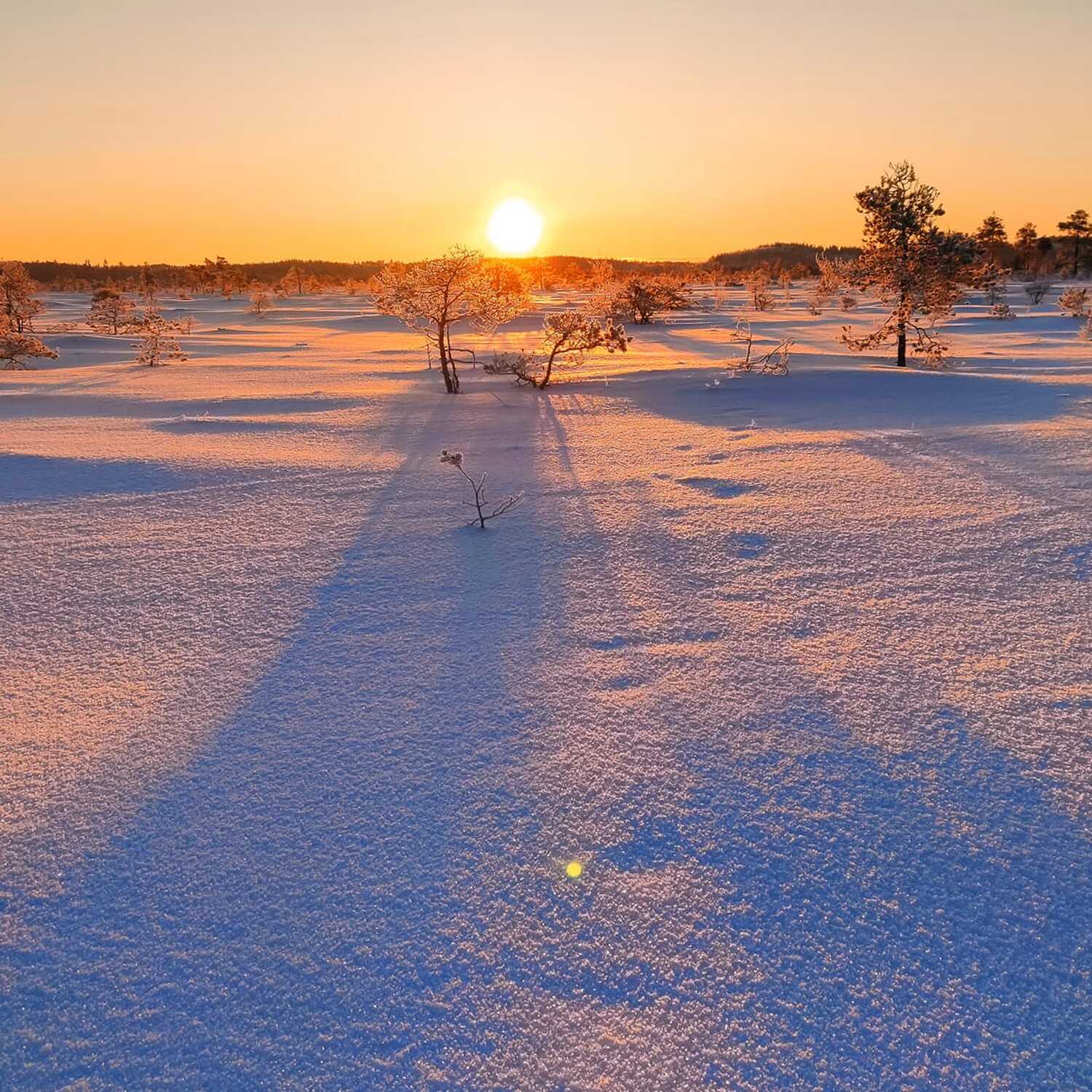 Torronsuo National Park